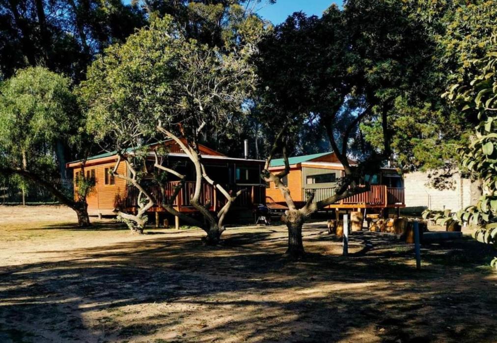 Hoogeland's Cabins