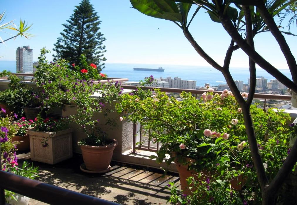 123 Ocean View Drive Studio Apartment